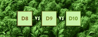 Types of THC: Delta 8 vs. Delta 9 vs. Delta 10