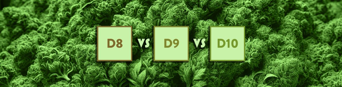 Types of THC: Delta 8 vs. Delta 9 vs. Delta 10