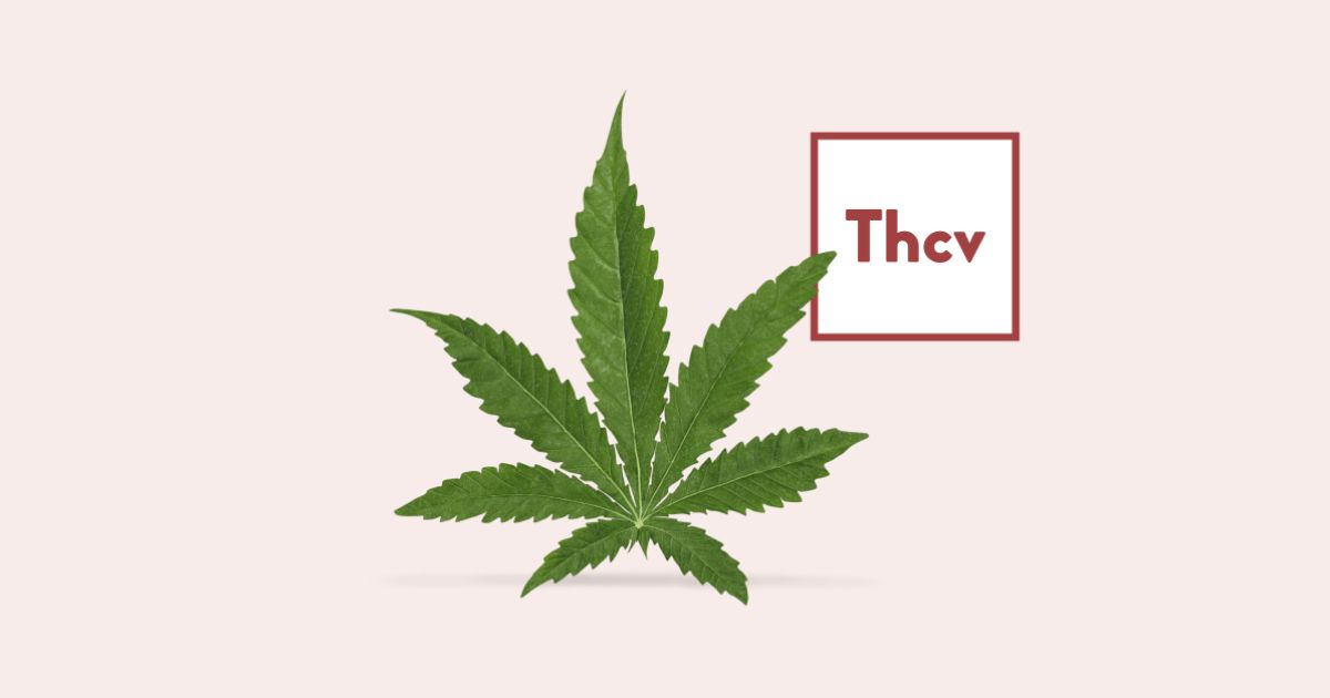 THCV Products - Reach Your Goals With Hemp